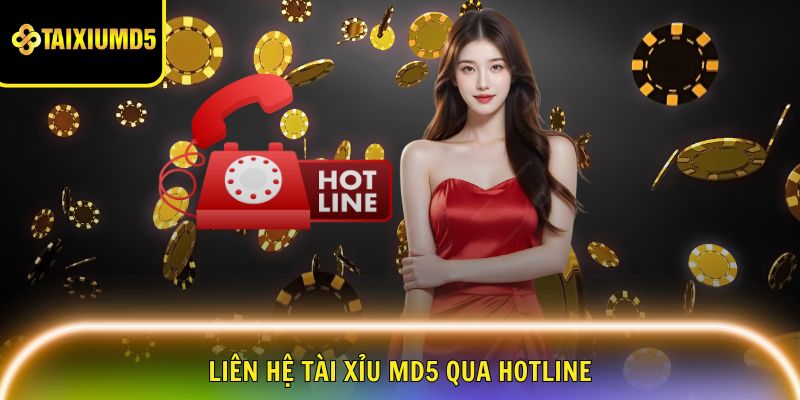 lien-he-tai-xiu-md5-hotline