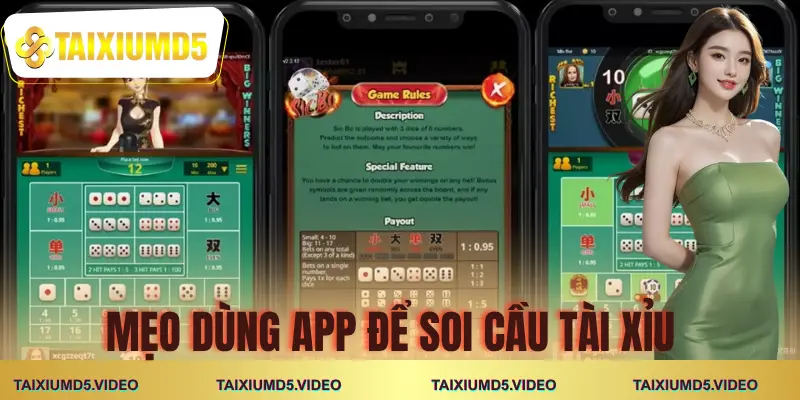 app-du-doan-tai-xiu-meo-su-dung