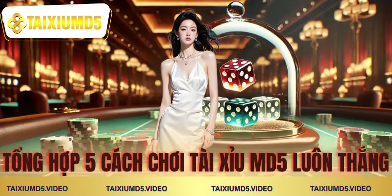 cach-choi-tai-xiu-md5-luon-thang-tong-hop