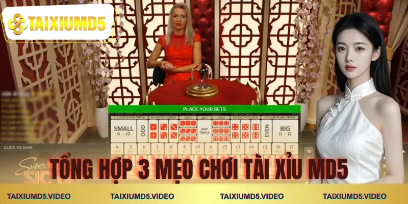 meo-choi-tai-xiu-md5-tong-hop