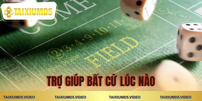 tai-xiu-md5-uy-tin-khong-ho-tro